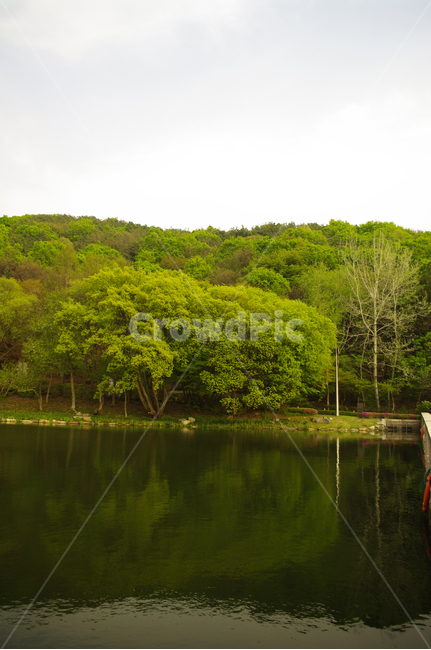 호수,나무,반영,풍경,식물,자연,풍경,nature,landscape,water,물,outdoors,옥외