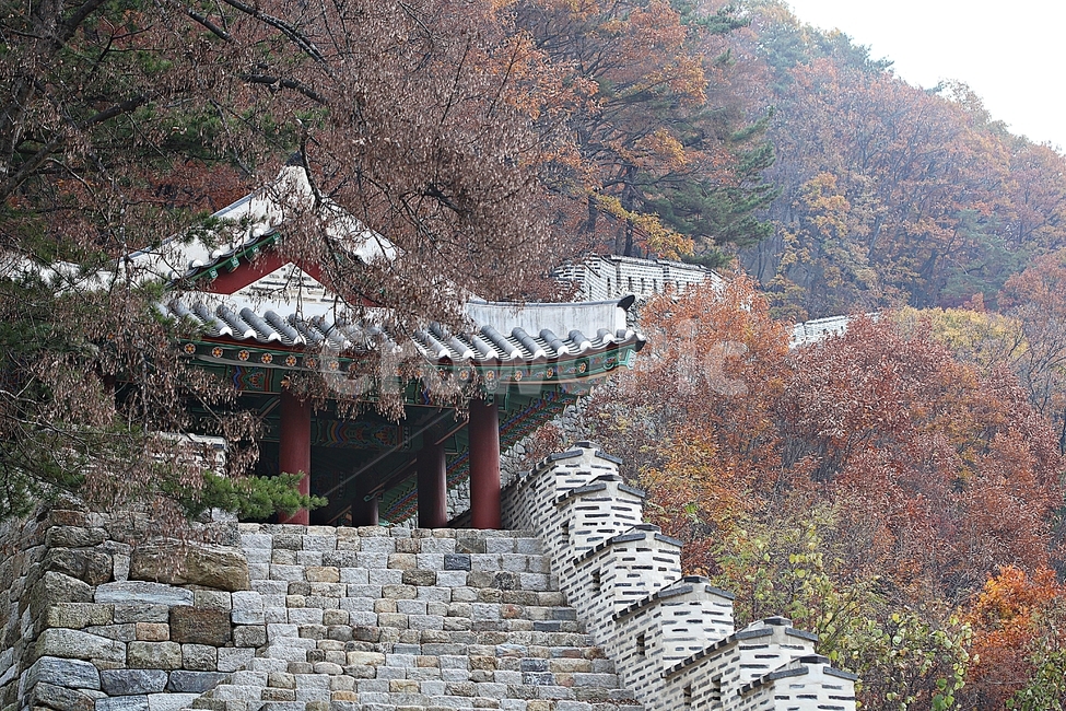 남한산성,성,성곽,단풍,낙엽,길,둘레길,숲,숲길,담,돌담,가을,자연,풍경,벽,울긋불긋,산성,식물,가을,계절,fall,autumn,season,한국전통,한국문화,korean traditional,korean culture,architecture,건축물,building,건물,temple,신전