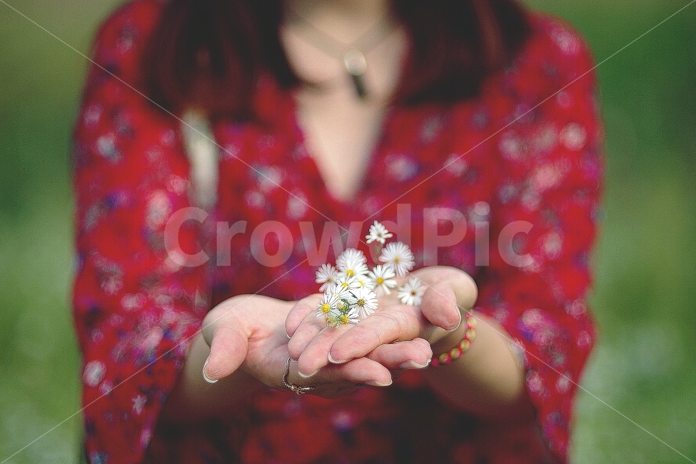 소녀,꽃,손,감성,낭만,감성사진,따뜻함,가을,가을사진,식물,자연,plants,nature,꽃,flower,사람,인물,인간,human,person,신체일부,몸,body,여성,여자,woman,female,lady,감성,sensible,feeling