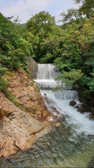 자연,숲,숲길,나무,흙,푸른숲,tree,산,계곡,water,물,nature,outdoors,stream,creek,구름