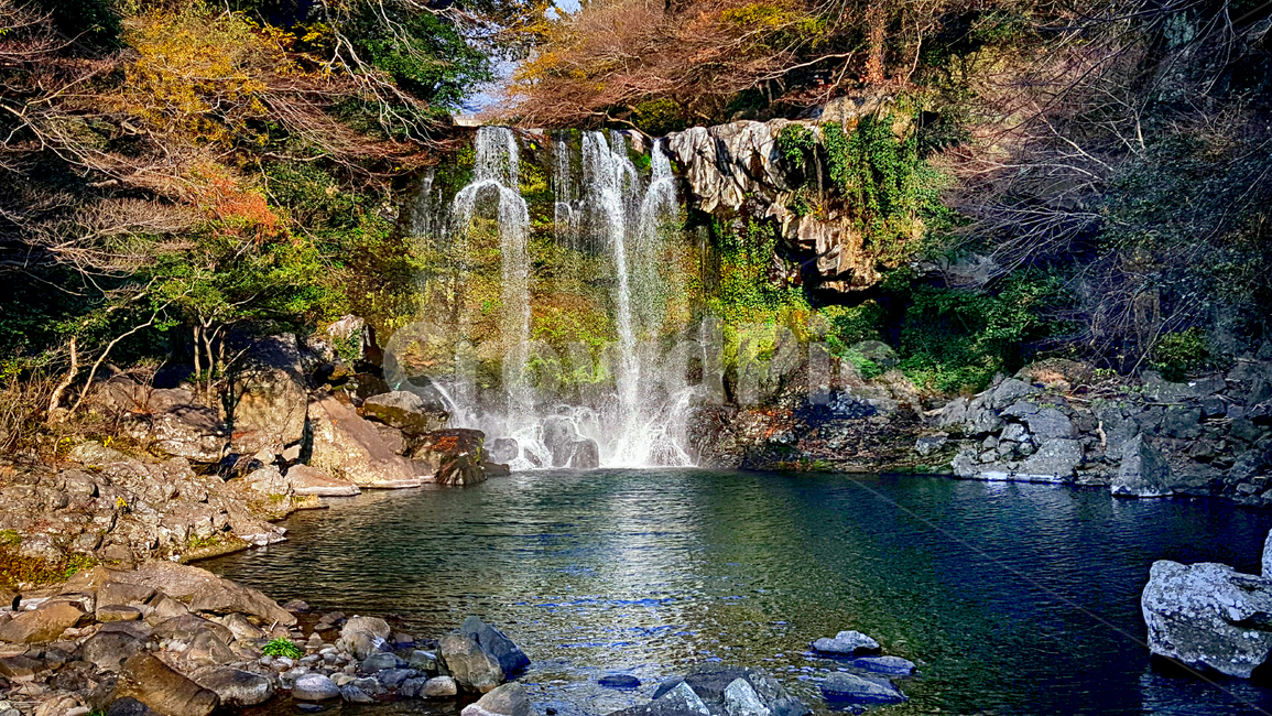 천제연,자연,nature,water,물,자연,풍경,nature,landscape