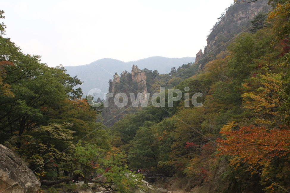 설악산,흘림골,주전골,가을,단풍,국립공원,가을,계절,fall,autumn,season,자연,풍경,nature,landscape,outdoors,옥외,mountain,산