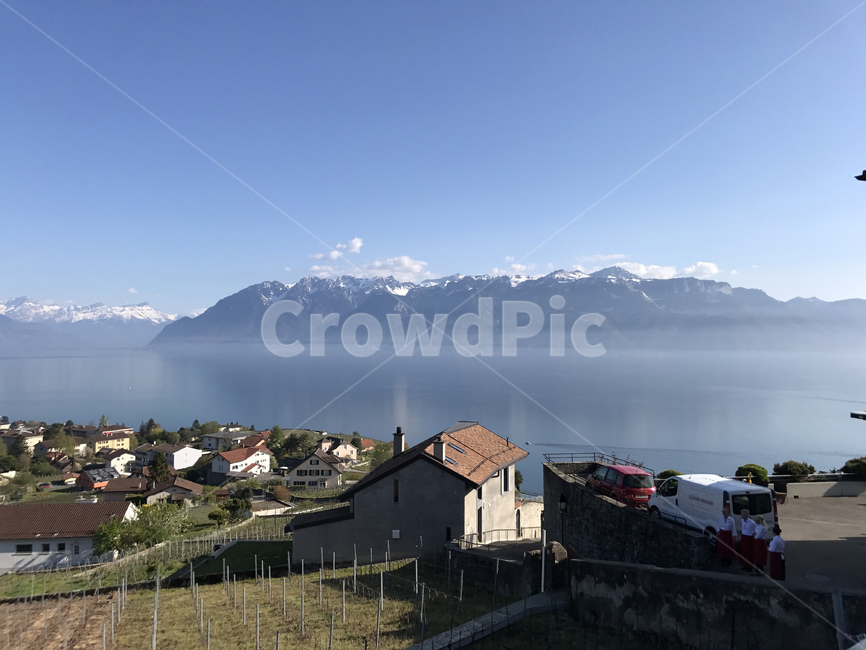 스위스,나무,풍경,호수,산,switzerland,tree,view,lake,morges,mountain,piecefull,고요,nature,자연,outdoors,옥외,자연,풍경,nature,landscape,해외,외국,세계,foreign,oversea,world,세계자연풍경,해외자연풍경,외국자연풍경,world nature landscape