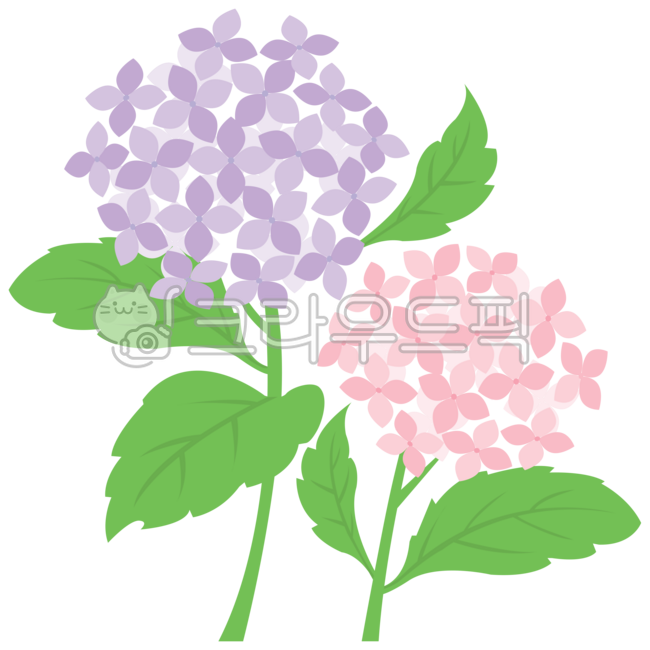 수국,수국일러스트,여름수국,수국축제,꽃,수국배경,꽃축제,꽃일러스트,수국그림,flower