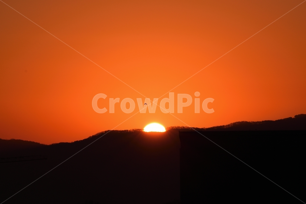 일출,태양,해,새해,희망,자연,풍경,nature,landscape,실루엣,그림자,silhouette,shadow,outdoors,옥외,sky,하늘,dusk,황혼,sunset,일몰,red sky,붉은 하늘,dawn,새벽,sunlight,햇빛,bird,새,animal,동물