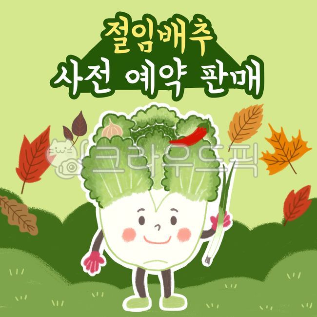 배추, 배추일러스트, 배추캐릭터, 김장, 김치, 사진,이미지,일러스트,캘리그라피 - 52saseyou작가