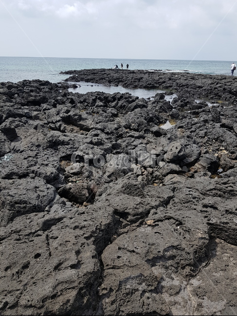 바다,제주,제주도,돌,풍경,자연,풍경,nature,landscape,제주도,jeju,jeju island,ground,바닥,person,사람,human,인간