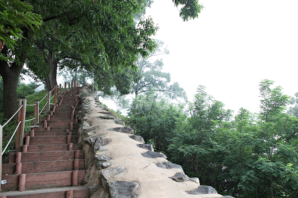 공주산성,성,성곽,산성,길,둘레길,숲,숲길,안개,돌담,담,여름,풍경,벽,방어벽,나무,식물,유네스코등제