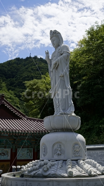 종교,불교,부처님,관세음보살,절,사찰,중,스님,석가모니,고타마싯다르타,석상,천태종,buddhism,Buddha,snap,snpshot,스냅,스냅사진,스넵,스넵사진,감성,감성사진,힐링,힐링사진,경치,풍경,landscape,자연,nature,여름,여름휴가,여행,국내,국내여행,travel,tour,조각상,동상,석상,조형물,statue,bronze statue,stone statue,한국전통,한국문화,korean traditional,korean culture,종교,신앙,religion,belief,faith