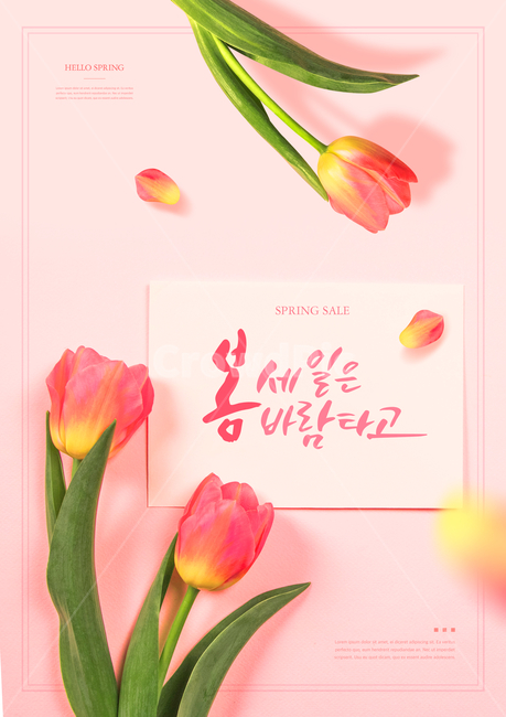 튤립,캘리그라피,꽃잎,봄,쇼핑,꽃,이벤트,세일,할인,봄맞이,봄,계절,spring,season,축제,행사,festival,carnival,event,쇼핑,shopping,그래픽,일러스트레이션,graphic,illustration,plant,식물,flower,petal,blossom