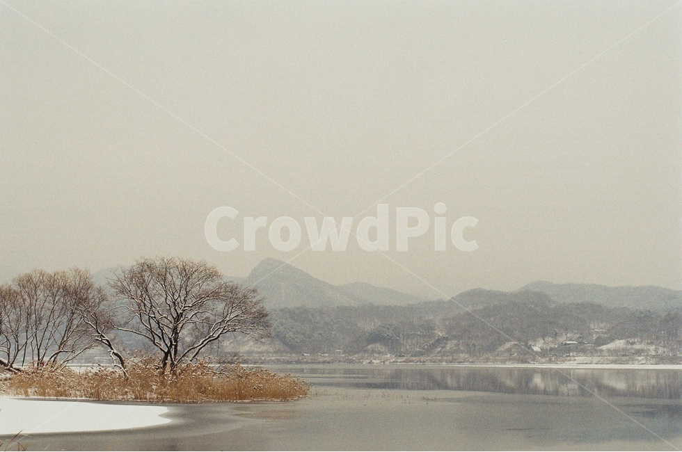 설경,풍경,눈,겨울,나무,강,호수,남양주,물의정원,필름,필름카메라,감성,겨울,계절,winter,season,자연,풍경,nature,landscape,감성,sensible,feeling
