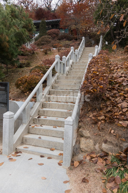 불교,절,사찰,부처,수호신,계단,가을,계절,fall,autumn,season