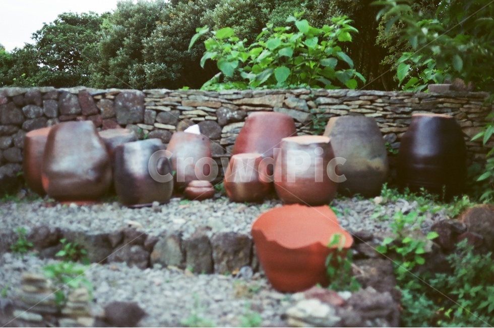 필름,장독대,제주,돌담,깨진장독,한국전통,한국문화,korean traditional,korean culture