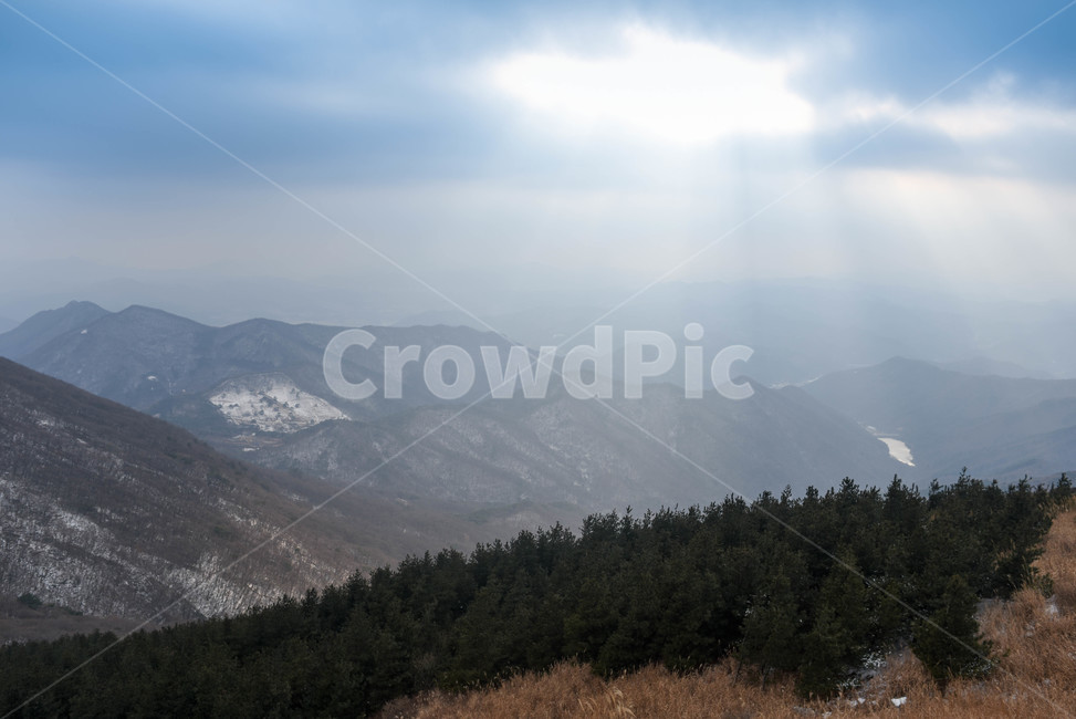 무등산,자연,산,산맥,outdoors,mountain,겨울,눈,winter,snow,cold,억새,갈색,sivergrass,lonely,외로움,고독