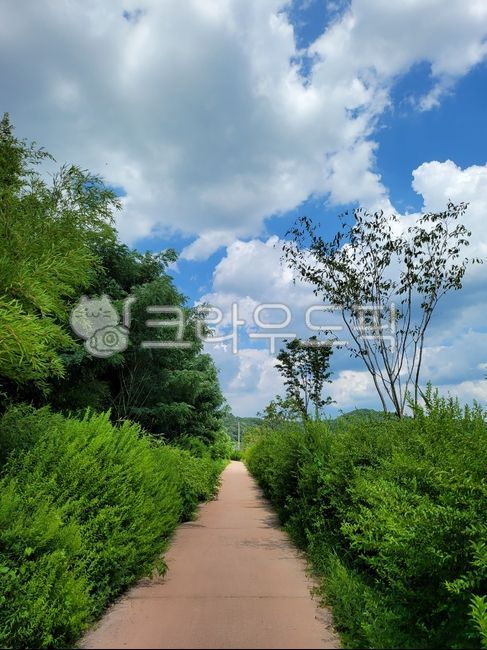 path, 길, road, 도로, walkway, 사진,이미지,일러스트,캘리그라피 - Nbellcch88작가