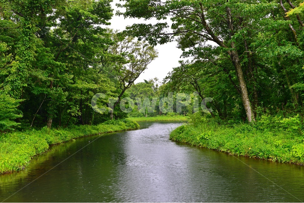 water,물,ditch,도랑,outdoors,옥외,nature,자연,ground,바닥,제주,에코랜드테마파크,공원,비,소나기,경치,경관,풍경,비경,제주경관