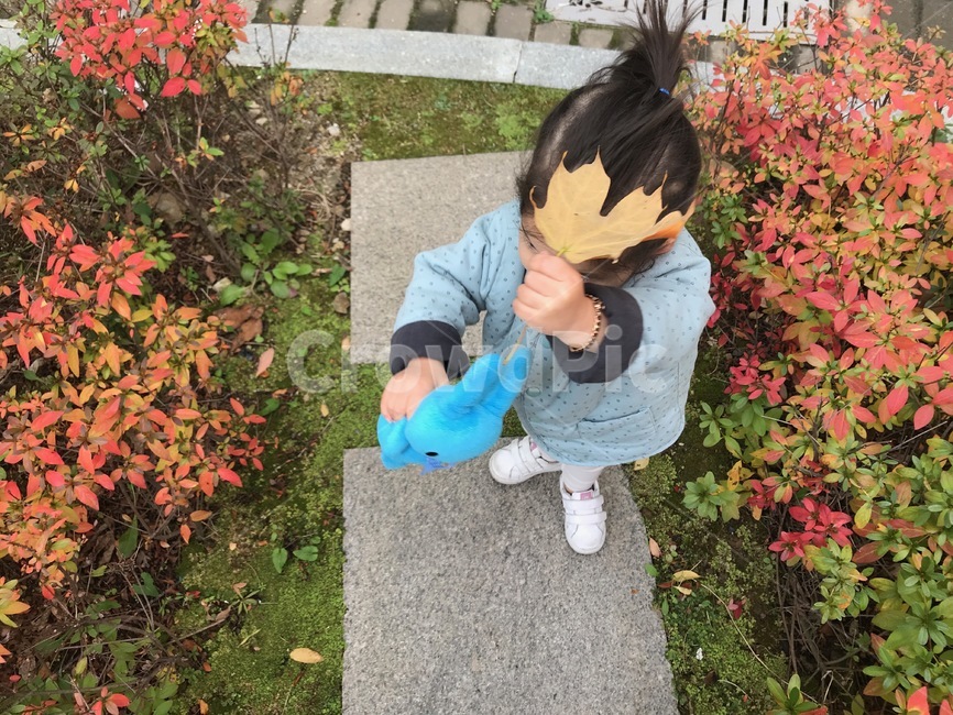 가을,낙엽,아이,겨울,어린이,단풍,인간,human,낙엽우산,우산,사람,garden,정원,outdoors,옥외,사람,인물,인간,human,person,어린이,어린아이,child,children,kid
