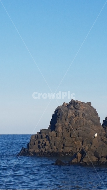 바다,바위,갈매기,하늘,해변,짙은,blue,sea,stone,sky고독,외로움,고요,평온,자연,풍경,nature,landscape,한국자연풍경,한국자연경관,korea nature landscape,outdoors,옥외,land,땅,water,물,shoreline,해안선,ocean,대양