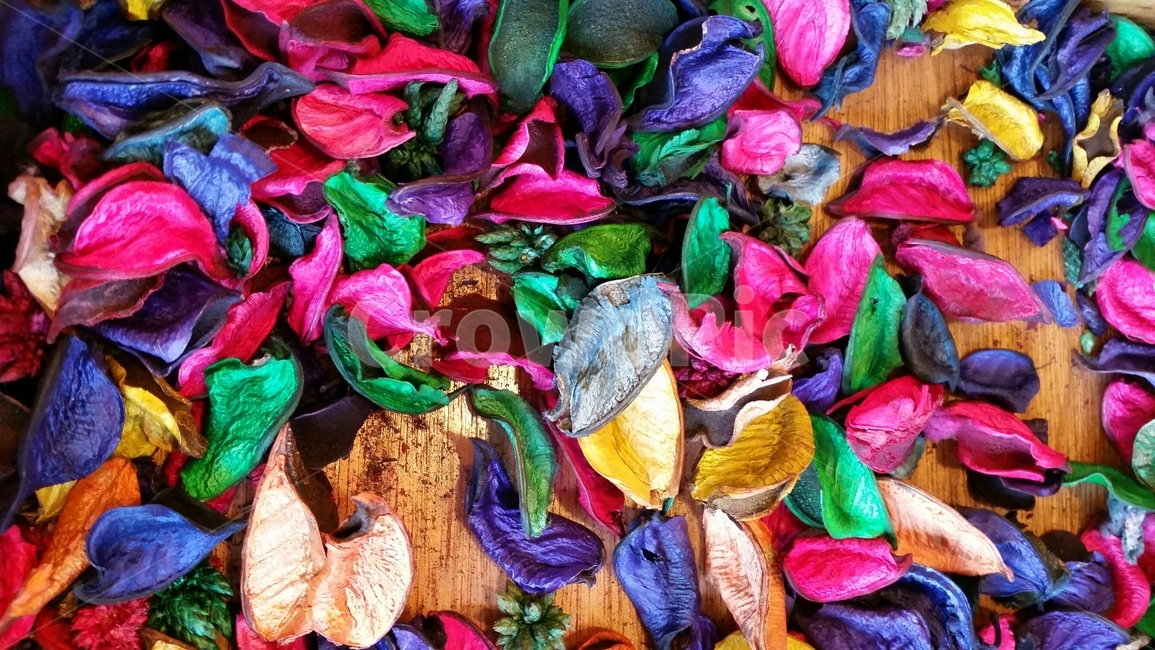 말린꽃,vivid,flower,꽃잎,포푸리,컬러풀,선명,향기,꽃향기