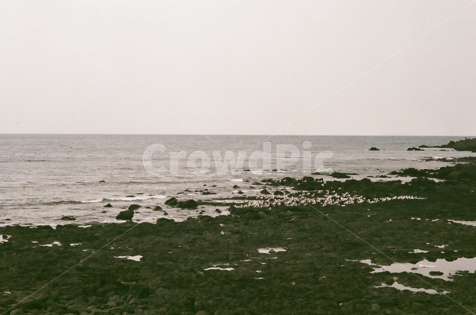 필름,film,analog,바다,ocean,자연,풍경,nature,landscape,해변,바다,beach,sea,outdoors,옥외,land,땅,water,물