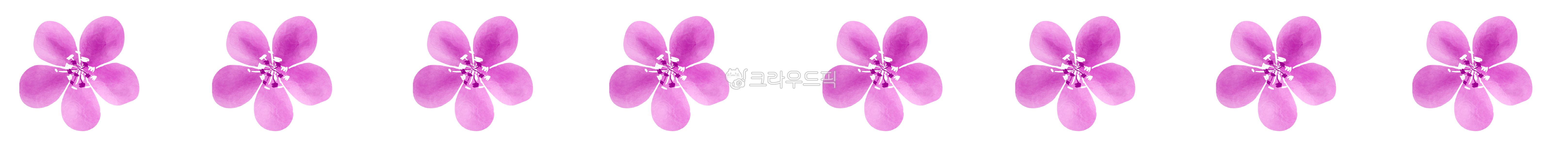 선, 경계선, 구분선, 편지지, 카드, 사진,이미지,일러스트,캘리그라피 - 메워니작가