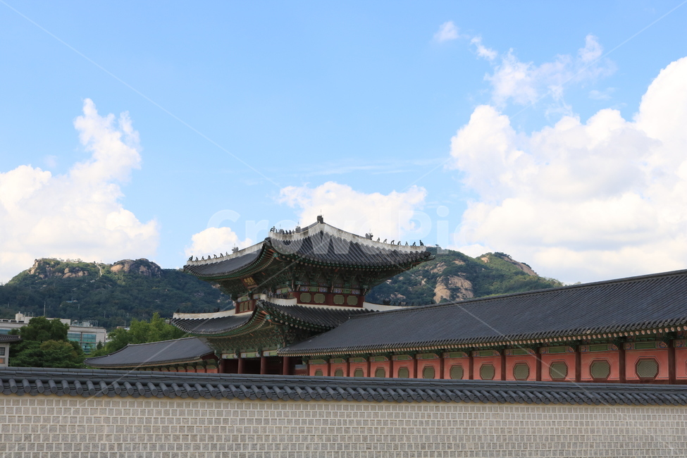 경복궁,풍경,한국전통,한국랜드마크,가을풍경,문화제,건축물,건물,한국전통,한국문화,korean traditional,korean culture,건축물,건물외관,exterior,building,structure,architecture,construction