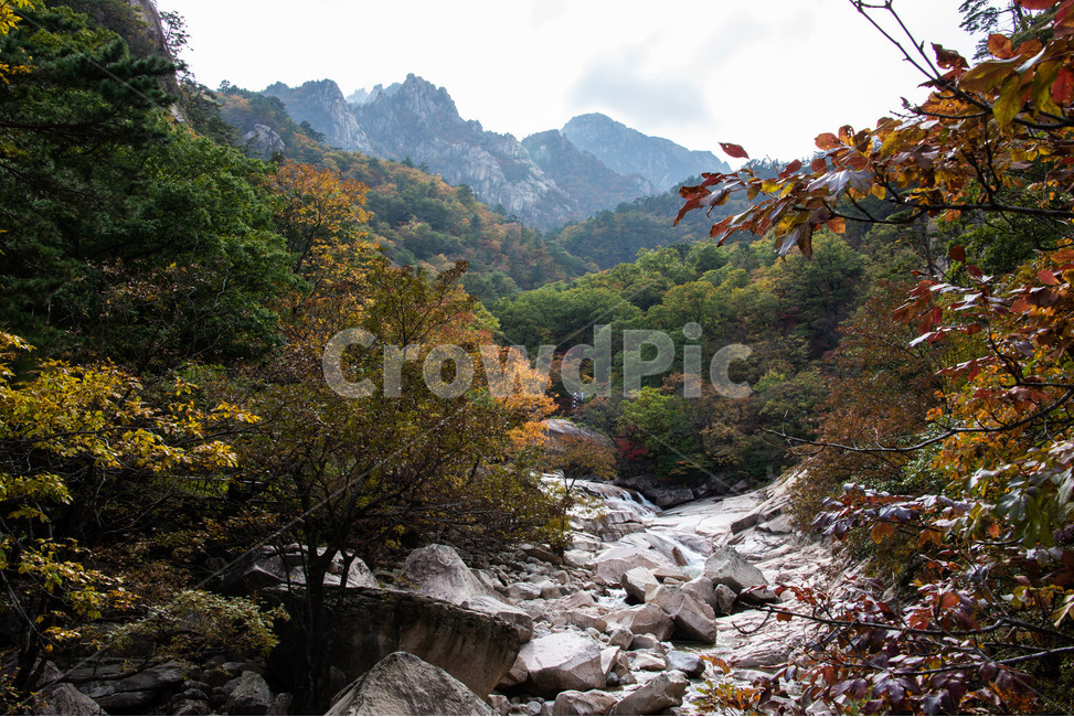 설악산,국립공원,천불동계곡,가을,단풍,가을,계절,fall,autumn,season,자연,풍경,nature,landscape,한국자연풍경,한국자연경관,korea nature landscape,outdoors,옥외,water,물