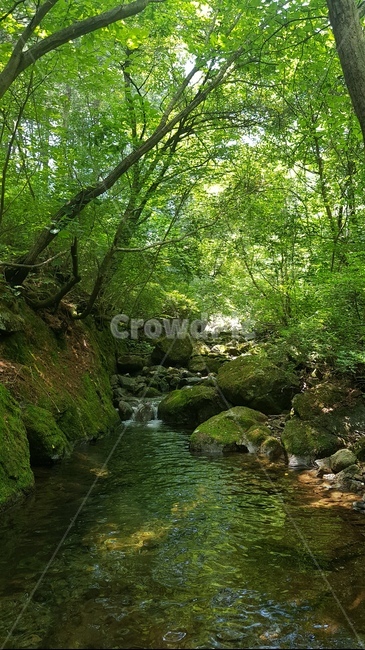 landscape photography,forest,natural scenery,waterside,Valley,nature,valley scenery,landscape