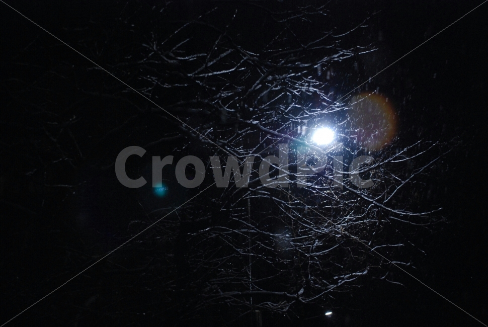 눈,겨울,밤,가로등,자연,밤하늘,nature,winter,계절,snow,season,sky,night,black,white,겨울,계절,winter,season,야경,밤,풍경,nightscape,night,landscape,outdoors,옥외,flare,플레어,light,빛,universe,우주,astronomy,천문학,outer space,대기권 밖