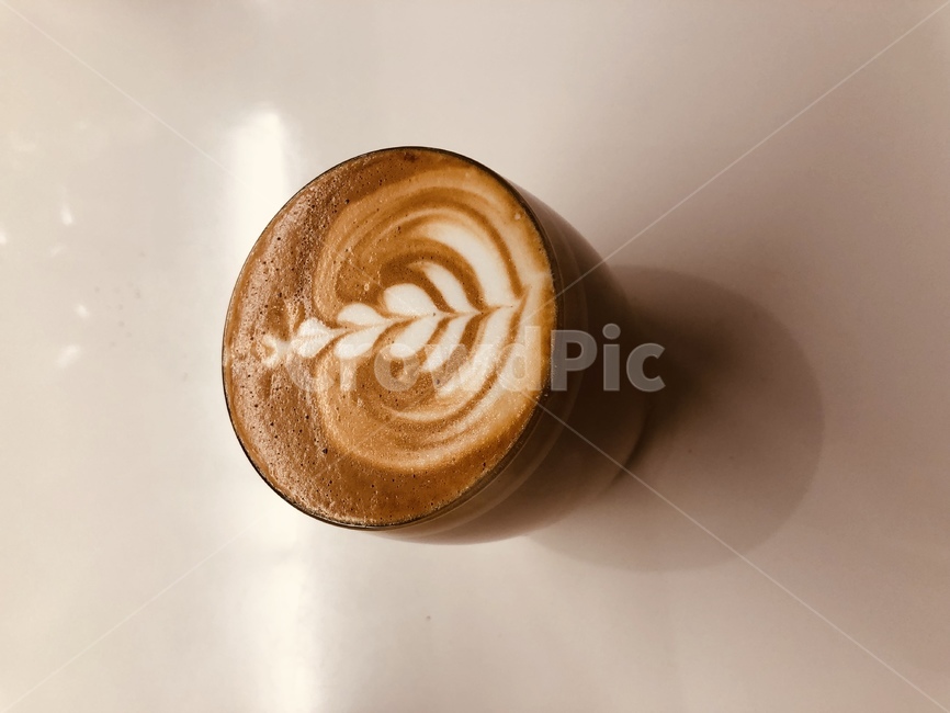 라떼,커피,카페라떼,라떼아트,카페라떼아트,음료수,drink,beverage,커피,카페,coffee,cafe