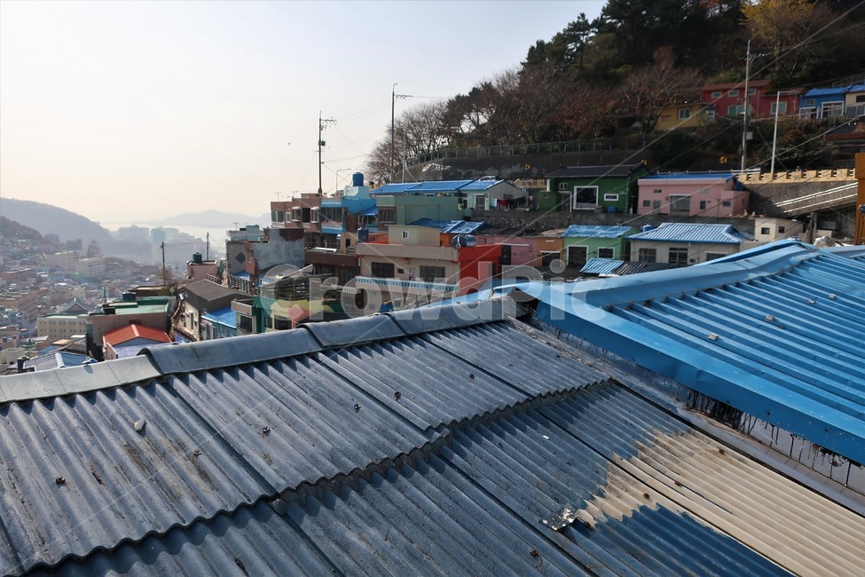부산,감천,마을,언덕,동네,감천문화마을,골목,풍경,감성,색감,명소,관광지,필수코스,도시,풍경,city,landscape,한국도시풍경,한국도시경관,korea cityscape,roof,지붕