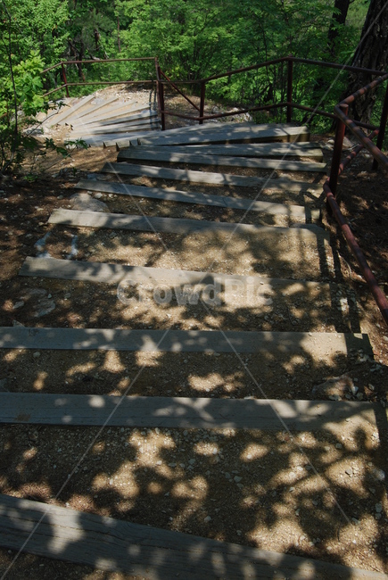 산,나무,tree,nature,trail,자연,풍경,nature,landscape,flagstone,판석