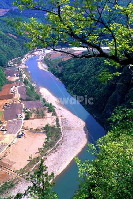 동강,자연,물굽이,강물,흐르다,STREAM,오지마을,정상,season,natural,background,나무,숲,강변,골짜기,산맥,능선,산봉우리,등산,mountain,river,riverside,healing,힐링,무공해,절경,명소,조감,산꼭대기,발아래,바라보다,아름다운,풍경,석회암지대,보존지역,세로사진,시즌,계절,자연,풍경,nature,landscape,한국자연풍경,한국자연경관,korea nature landscape,scenery,outdoors,옥외,경치,water,물,aerial view,조감도