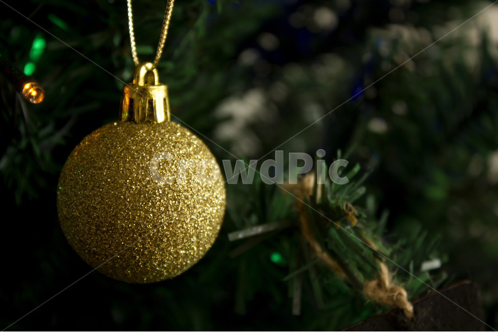 크리스마스,트리,겨울,구슬,오너먼트,소품,원형,구,금색,골드,골든,금,반짝임,반짝이는,노랑,옐로우,클로즈업,크리스마스트리,나무,장식,골든볼,볼,성탄절,메리크리스마스,오브젝트,물건,시즌용품,시즌,계절,메리크리스마스,성탄절,merry christmas