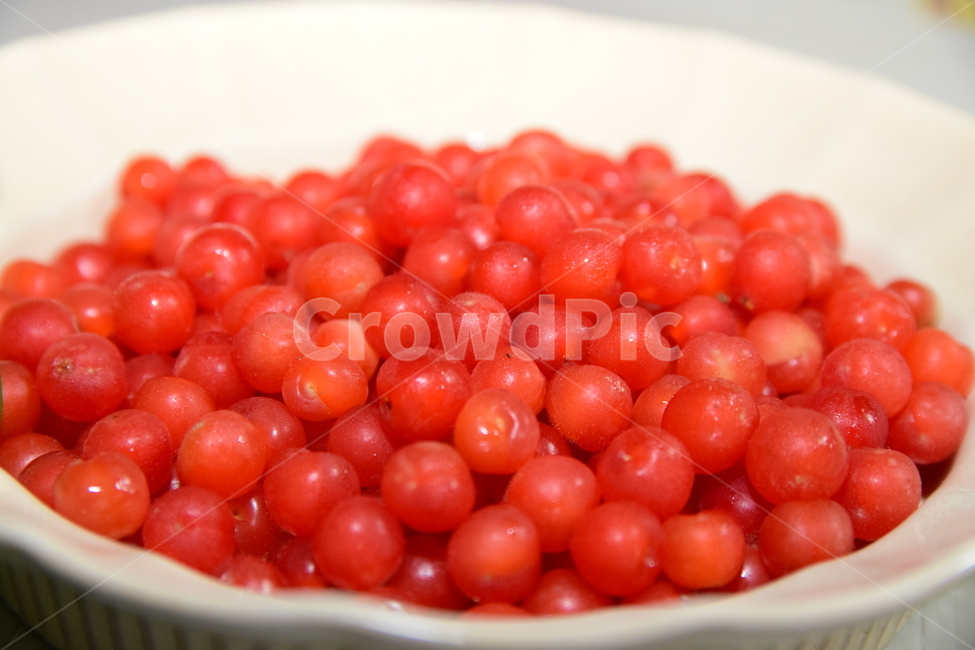보리수,보리수열매,접시,빨간열매,열매,시콤달콤,fruits,redfruits,음식,식재료,요리,food,cook,meal,dishes,food reserves,과일,열매,fruit