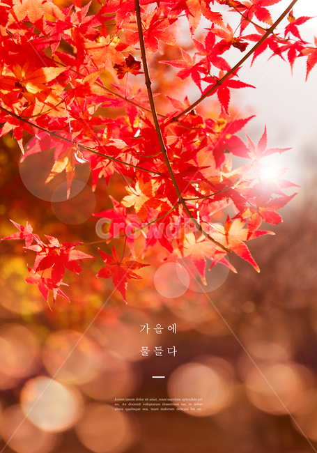 가을,편집,감성,단풍,하늘,구름,산,가을산,가을단풍,가을하늘,가을편집,가을감성,배경,감성편집,낙엽,가을,계절,fall,autumn,season