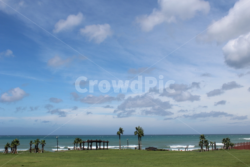 제주,제주도,바다,나무,야자수,여유로움,여유,nature,자연,outdoors,푸른하늘,sky,하늘,ocean,water,sea,물,날씨,land,땅,대양,coast,연안,자연,풍경,nature,landscape,한국자연풍경,한국자연경관,korea nature landscape,plant,식물,grass,잔디,옥외