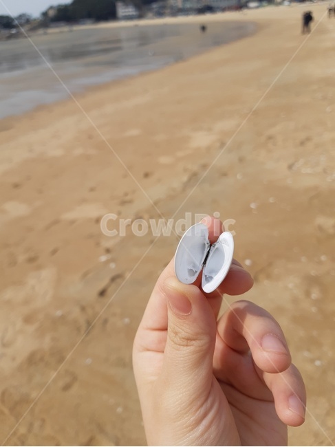 조개껍데기,조개껍질,모래,모래사장,바다,조개,해변,바다,beach,sea