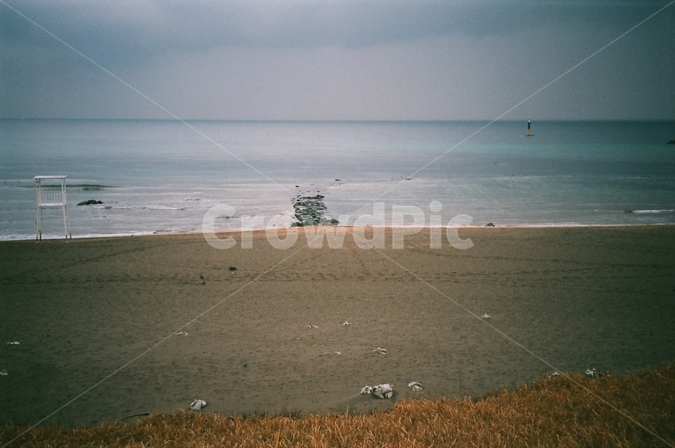 제주도,필름카메라,바다,돌길,해수욕장