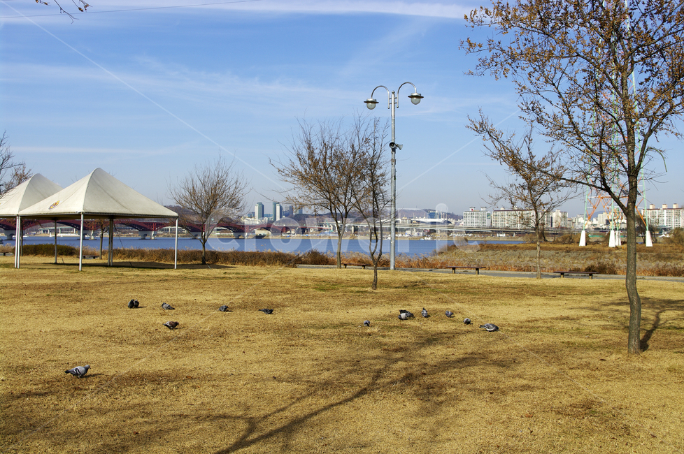 하늘,구름,풍경,공원,겨울,나무,겨울,계절,winter,season,도시,풍경,city,landscape,한국도시풍경,한국도시경관,korea cityscape