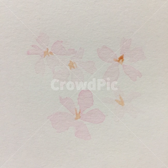 벚꽃,꽃,봄,수채화,꽃일러스트,워터브러쉬,봄꽃,봄,계절,spring,season,그래픽,일러스트레이션,graphic,illustration