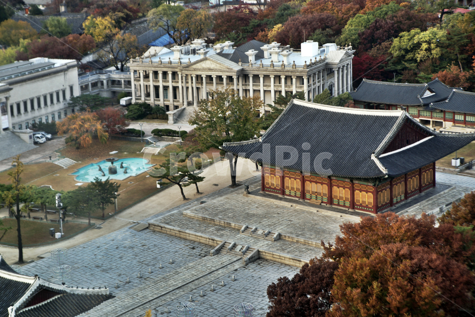 덕수궁,궁궐,가을,자연,도심,중화전,석조전,한국전통,한국문화,korean traditional,korean culture