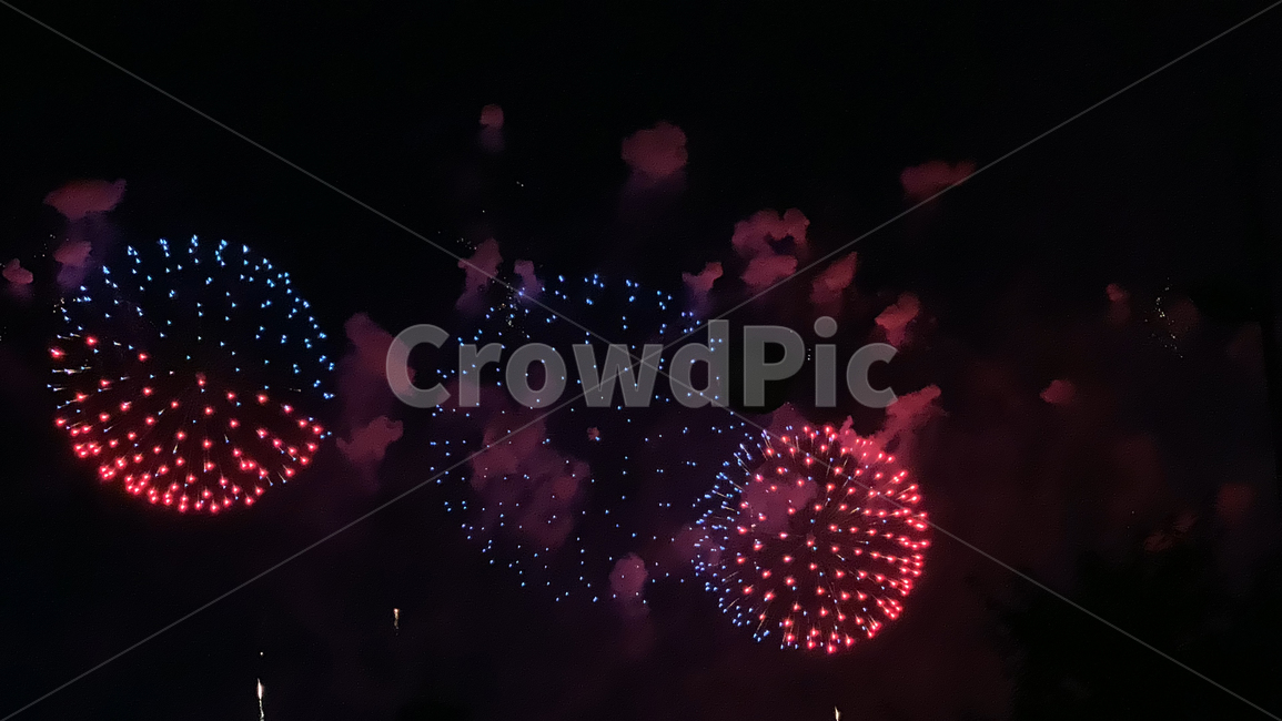 불꽃,불꽃놀이,불꽃축제,폭죽,화려함,폭죽놀이,축제,구경,야경,밤하늘,빛,불