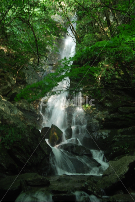 계곡,valley,물,water,돌,stone,여름,계절,summer,season,자연,풍경,nature,landscape,river,강,outdoors,옥외,waterfall,폭포