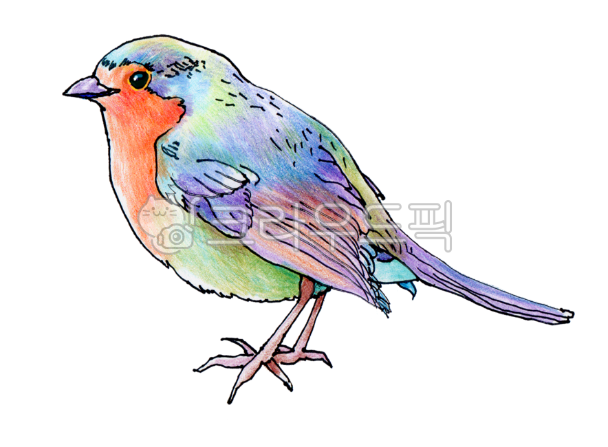 새,파랑새,손그림,색연필,동물,png,작은새,새그림,장식,새일러스트,손그림일러스트