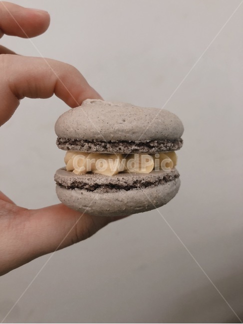 finger,손가락,마카롱,깔끔,감성,음식,food,디저트,음식,식재료,요리,food,cook,meal,dishes,food reserves,디저트,간식,후식,dessert,snack