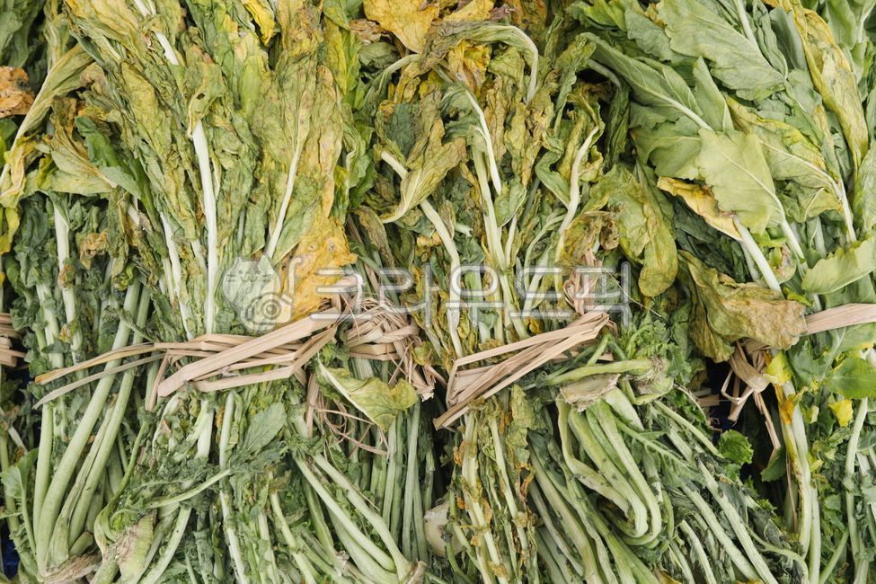 무우,시래기,무우시래기,무우김치,무우밭,무우반찬,김치,김장,채소,야채,식품,식물,음식,반찬,요리,동치미,무우말랑이,식사,무우말랭이,순무,무우농장,가을,총각김치,깍두기김치,radish,radishkimchi,radishfield,radishsidedish,kimchi,makingkimchi,radishradish,japaneseradish,bachelorkimchi,kkakdugikimchi,plant,sidedish,foodcooking,shiraegi,농장,farm,autumn,vegetable