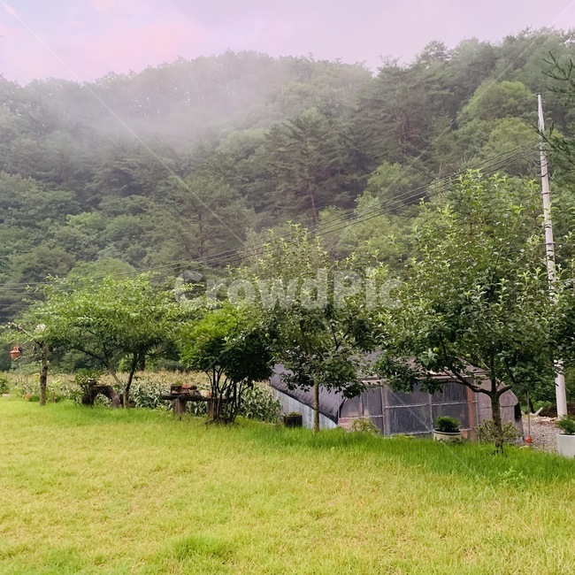 야경,자연,풍경,나무,산책길