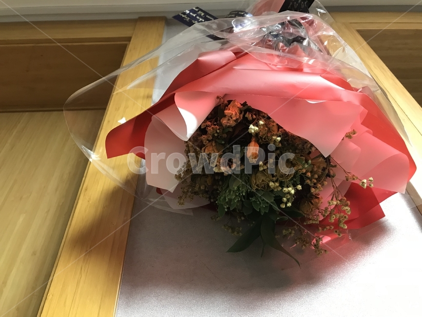 plant,flower,꽃,blossom,flowerbouquet,꽃부케,dryflower,꽃다발,드라이플라워,식물,자연,plants,nature,꽃,flower