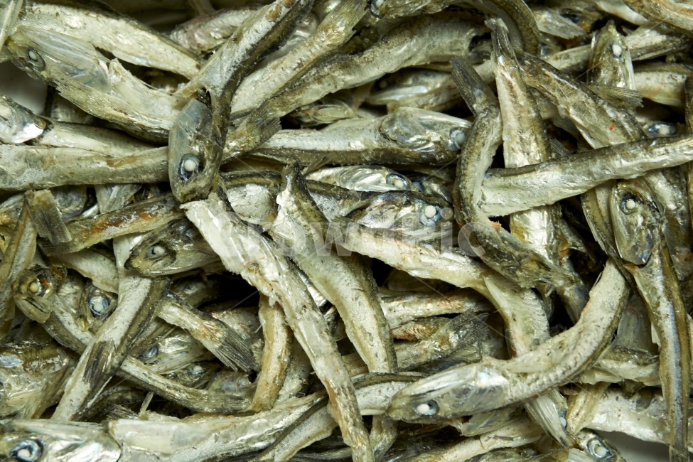 멸치,마른,음식,수산물,생선,어부,수산,바다,반찬,마트,식재료,식품,물고기,건어물,해물,해산물,음식,식재료,요리,food,cook,meal,dishes,food reserves,수산물,해산물,fishery products,seafood